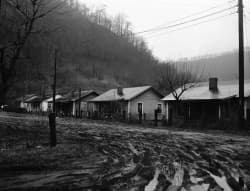 First It Came for the Blue-Collar Workers, But...