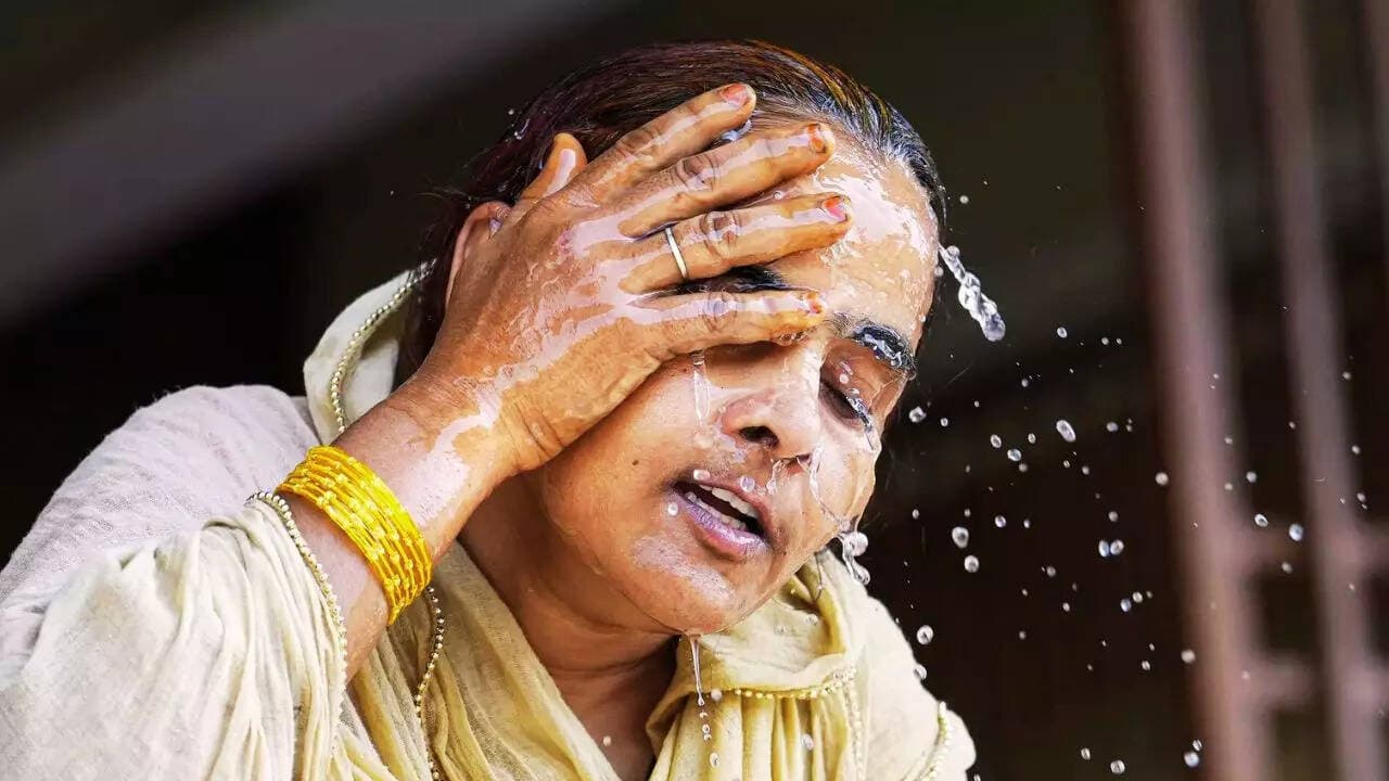 IMD forecasts above-normal heatwave days in several states: What you need to know