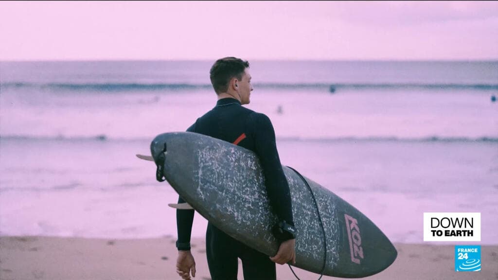 Down to Earth - Can surfboards, handbags and coffins be made from mushrooms?